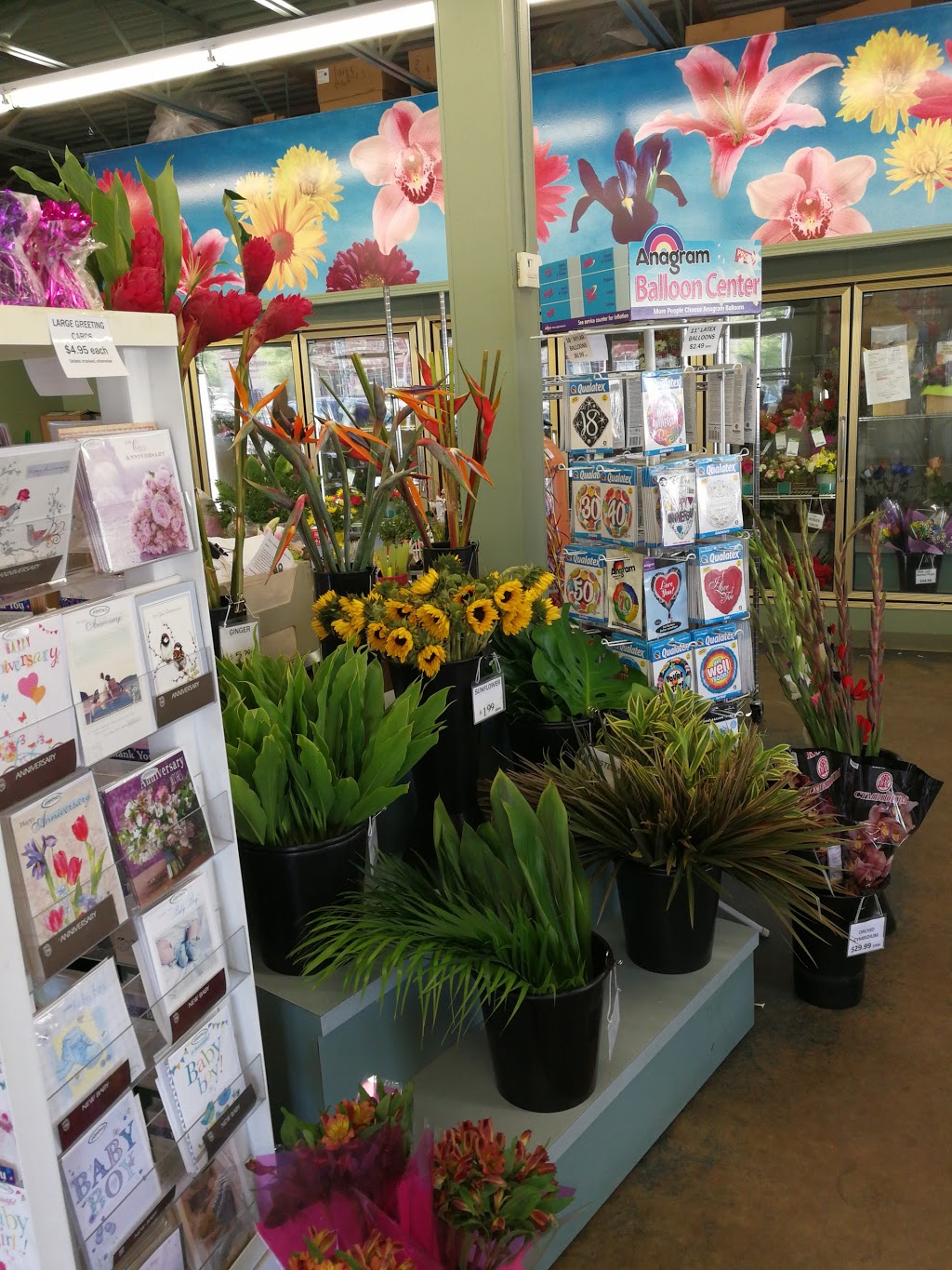 Bunches Flowers Co. Parkallen | 7108 109 St NW, Edmonton, AB T6G 1B8, Canada | Phone: (780) 447-5359