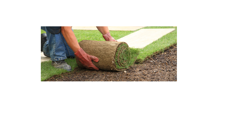 Eden Gardening & Landscaping | 165 Glenkindie Ave, Maple, ON L6A 1Z6, Canada | Phone: (416) 303-4320