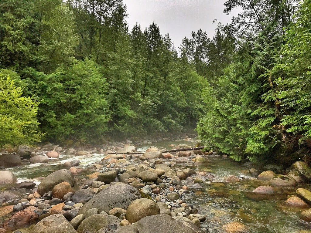 Lynn Canyon Bouldering Field | Lynn Valley Rd, North Vancouver, BC V7K 2T5, Canada