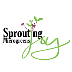 Sprouting Joy Microgreens | 5th St SE, Chesley, ON N0G 1L0, Canada | Phone: (226) 668-2239