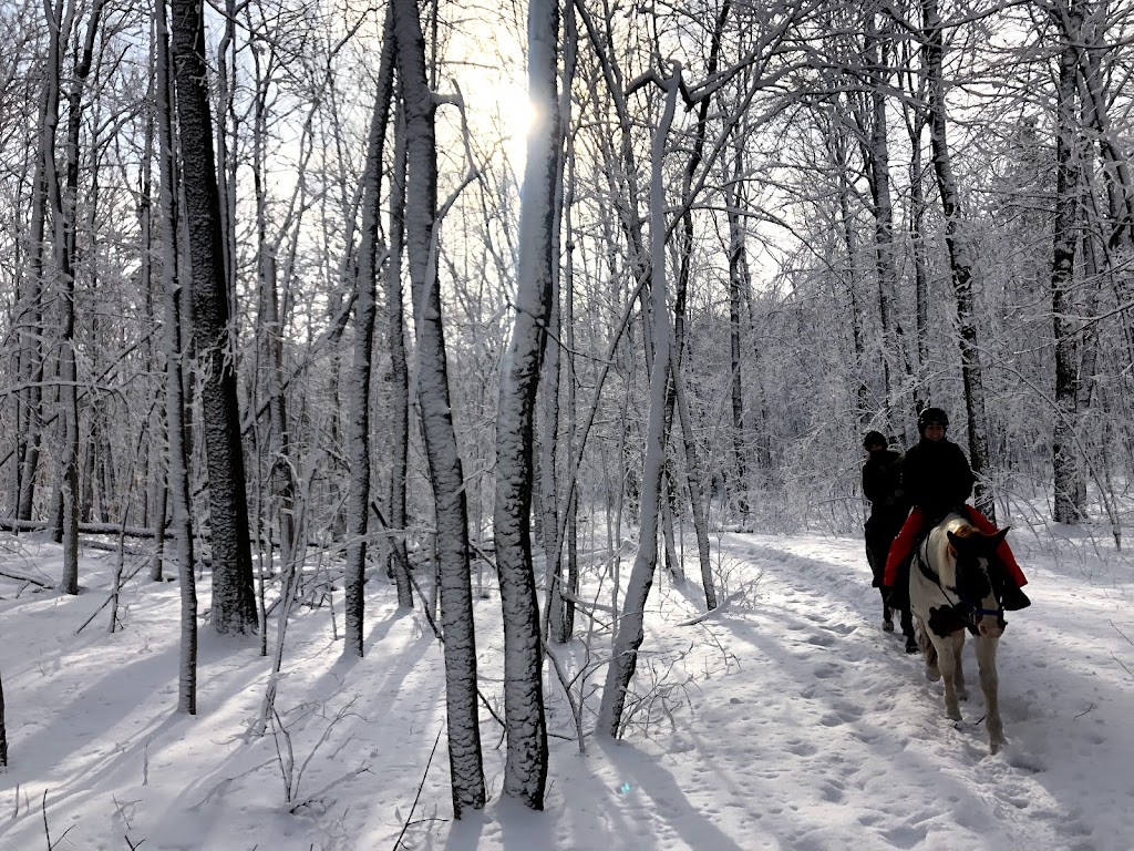 Pathways on Pleasure Valley | 2499 Brock Rd, Uxbridge, ON L9P 1R4, Canada | Phone: (905) 649-2888