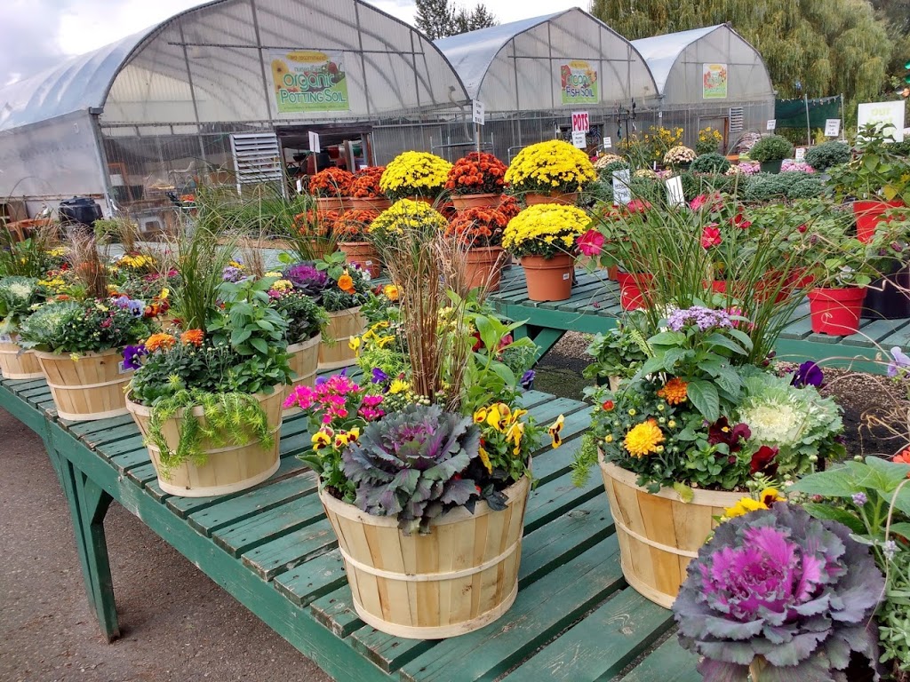 Swan Lake Nurseryland Fruit Market & Garden Centre | 7920 Highland Rd, Vernon, BC V1B 3W6, Canada | Phone: (250) 542-7614