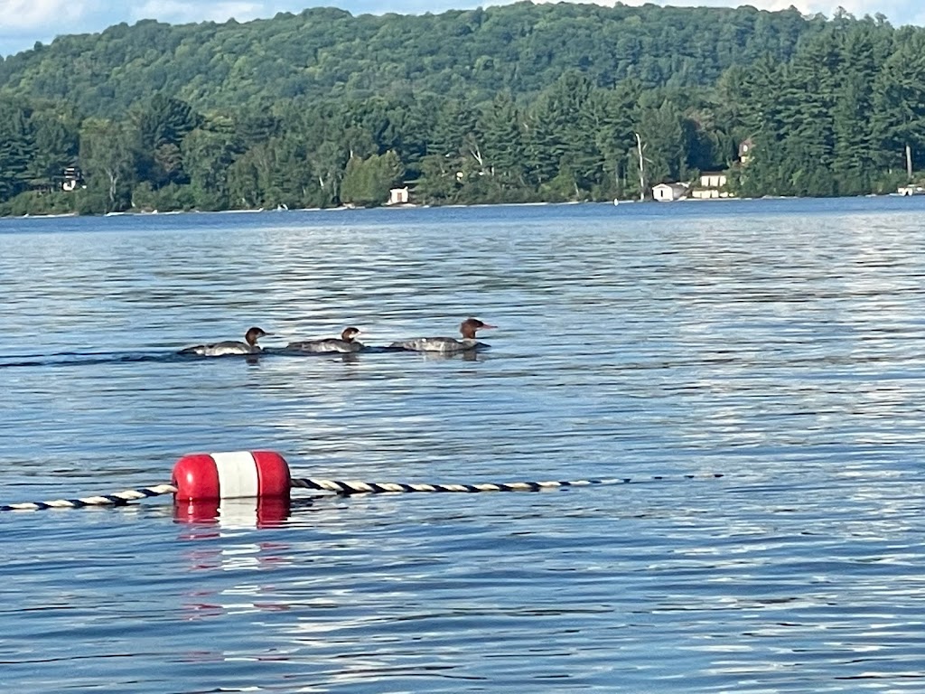 City of Lake Simon Municipal Beach | 760 Chem. du Tour du Lac, Chénéville, QC J0V 1E0, Canada | Phone: (819) 428-9363