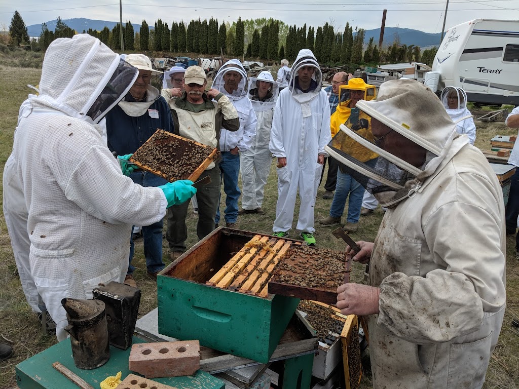 Lomonds Ashcroft Honey | Thompson River Estates, 1559 Steelhead Rd, Savona, BC V0K 2J0, Canada | Phone: (250) 457-7193