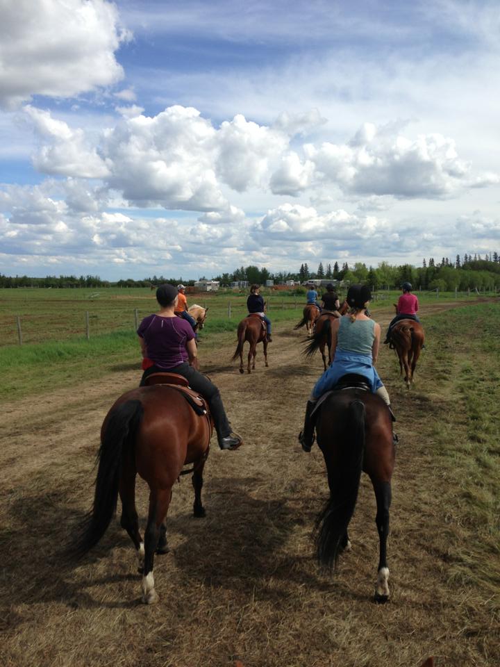 Spirit Horse Stables Ltd | 26020 Township Rd 554, Sturgeon County, AB T8R 2G9, Canada | Phone: (780) 939-5125