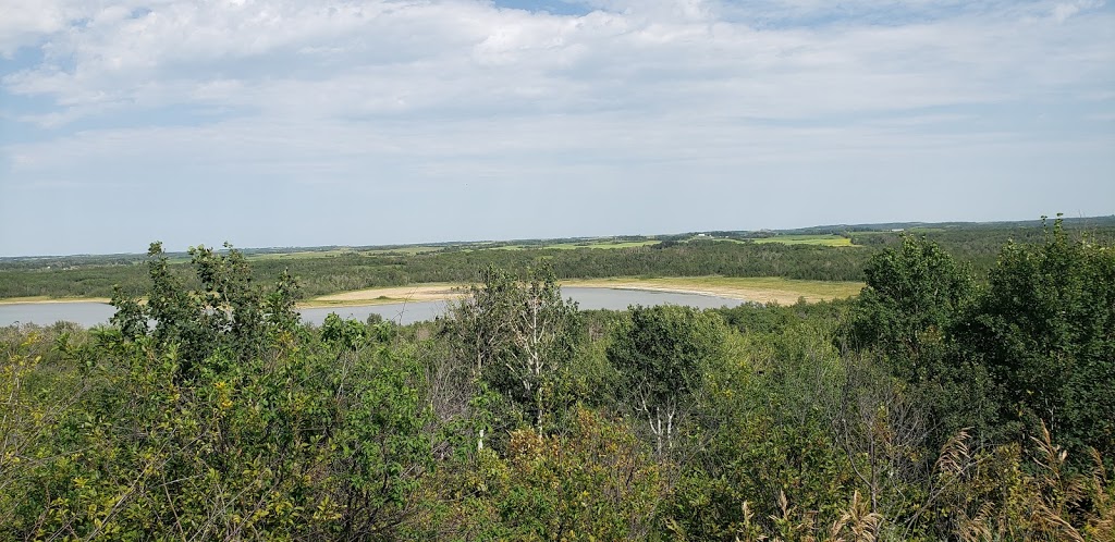 Buffalo Lake Provincial Recreation Area | Township Rd 411A, Rochon Sands, AB T0C 3B0, Canada | Phone: (403) 741-2246