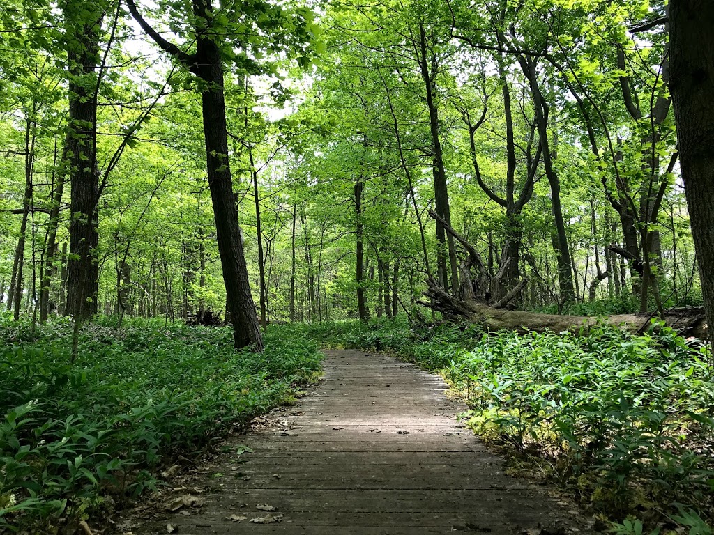 Fish Point Provincial Nature Reserve | McCormick Rd, Pelee Island, ON N0R 1M0, Canada | Phone: (519) 825-4659