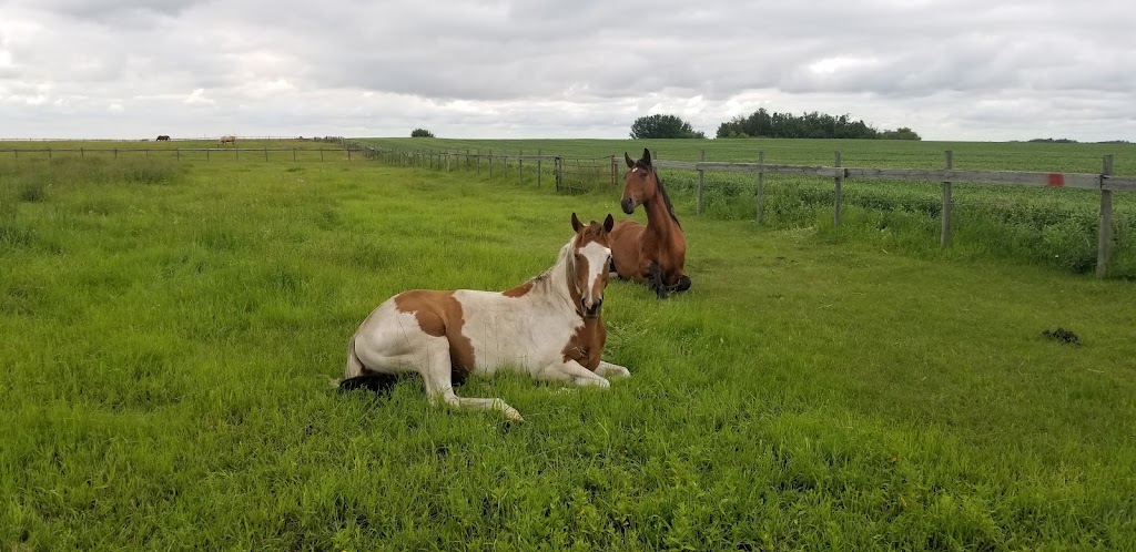 Rocking Bar Ranch | 54417 Range Rd 222, Fort Saskatchewan, AB T8L 3Z8, Canada | Phone: (780) 699-2721