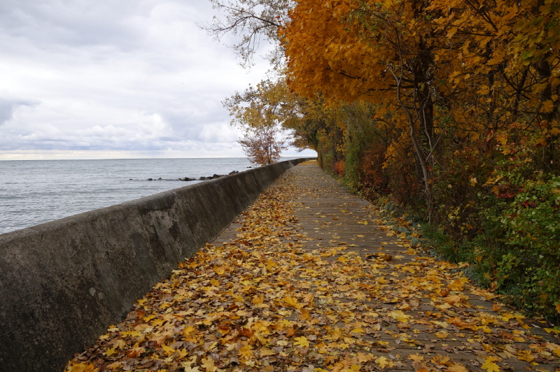 Island Information | Centre Island, Toronto, ON M5J, Canada