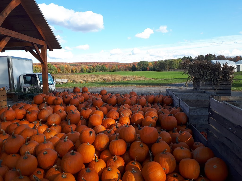 Le Terroir de Dunham | 3115 Rue Principale, Dunham, QC J0E 1M0, Canada | Phone: (450) 295-3266