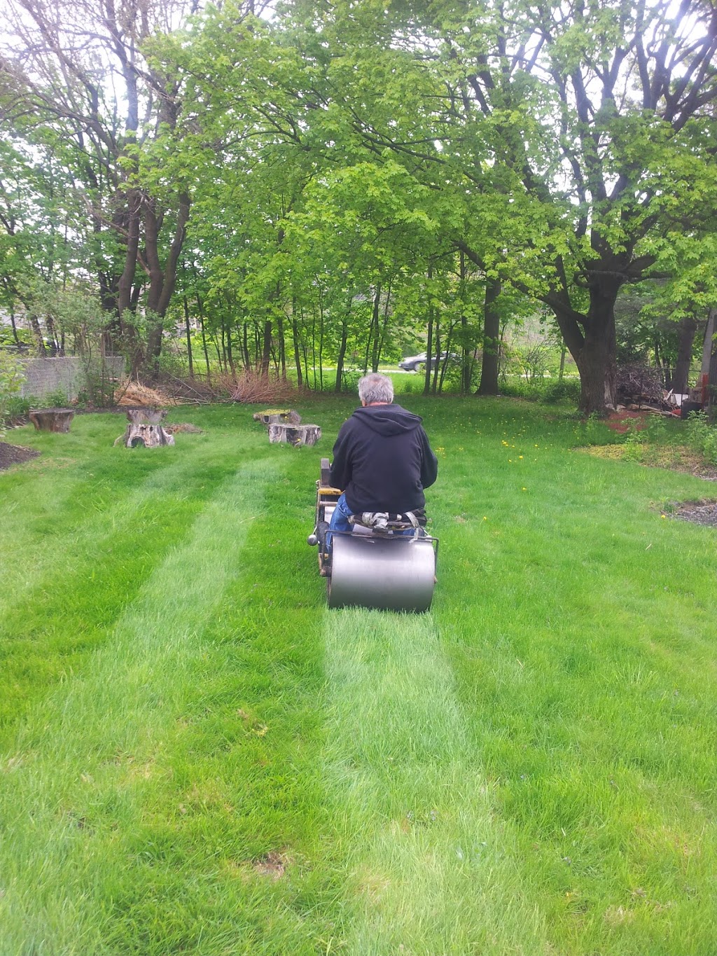 Lawn Rolling | 4479 Dorchester Rd, Niagara Falls, ON L2E 6N5, Canada | Phone: (647) 907-6974