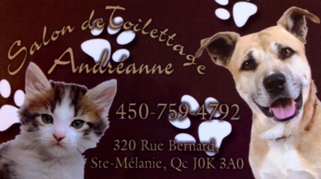 Salon de toilettage Andréanne | 320 Rue Bernard, Sainte-Mélanie, QC J0K 3A0, Canada | Phone: (450) 759-4792