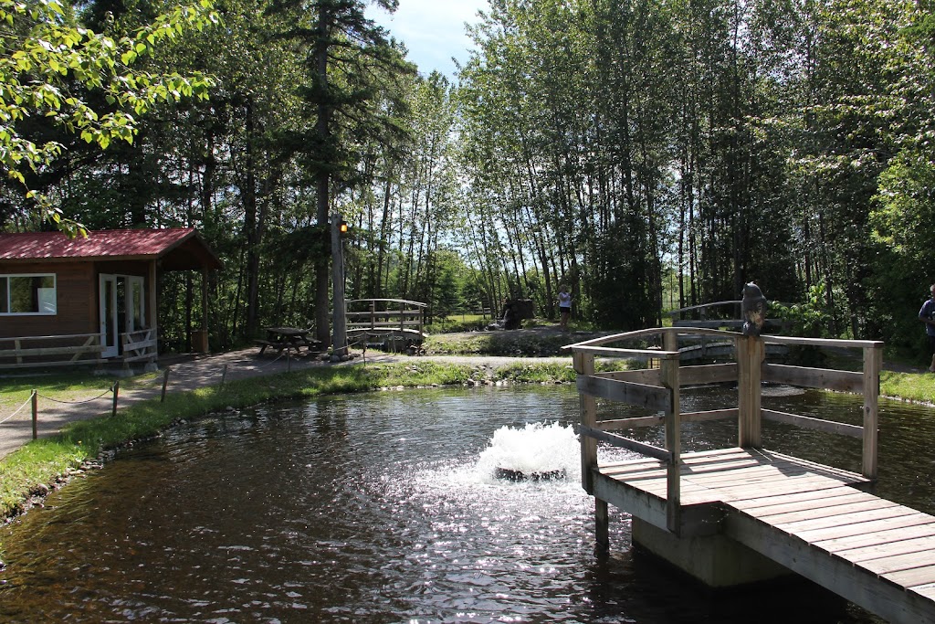 Camping in the Garden of My Father | 3736 Chemin St Louis, La Baie, QC G7B 4M8, Canada | Phone: (877) 544-6486