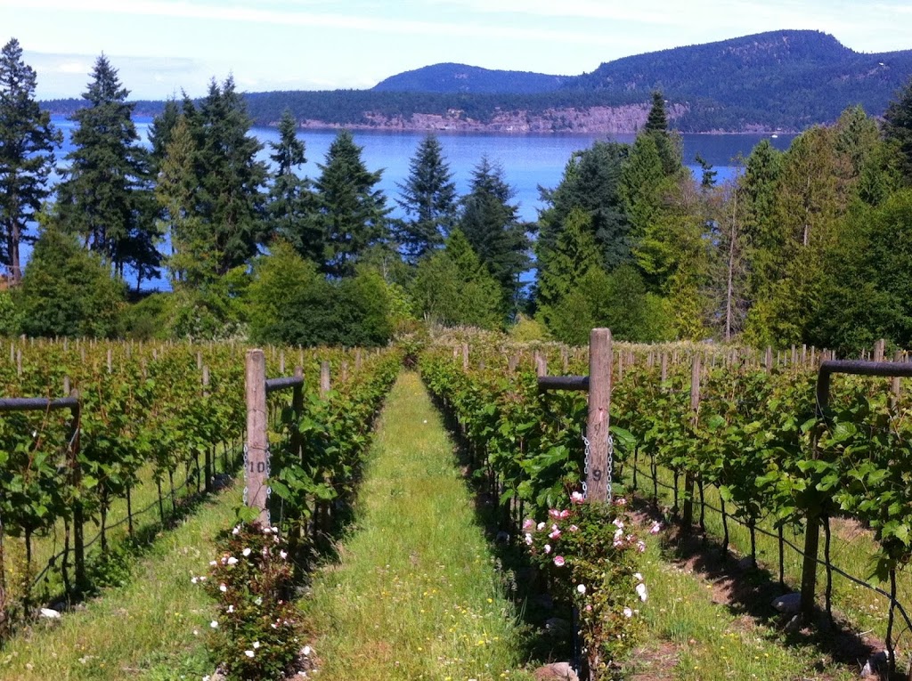 Sea Star Estate Farm and Vineyards | 6621 Harbour Hill Dr, Pender Island, BC V0N 2M1, Canada | Phone: (250) 629-6960