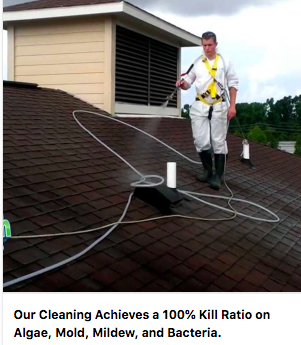 Curb Appeal Window and Gutter Cleaning | 421 Airport Pkwy, Belleville, ON K8N 4Z6, Canada | Phone: (613) 743-2262