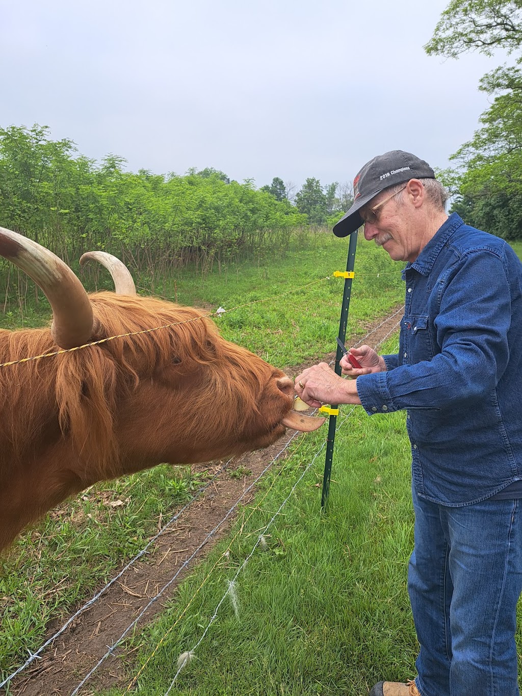 Silver Maple Highlands Farm | 174 Boyle Rd, Grafton, ON K0K 2G0, Canada | Phone: (905) 269-8510