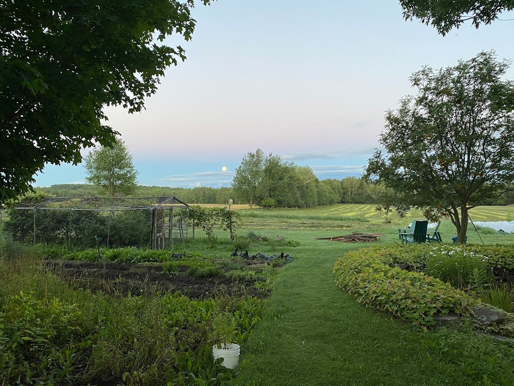 Le Local - Ferme Maraîcher - Kiosque légumes et fruits | 2699 Chem. Roy N, Barnston-Ouest, QC J1A 2S5, Canada | Phone: (514) 977-3003