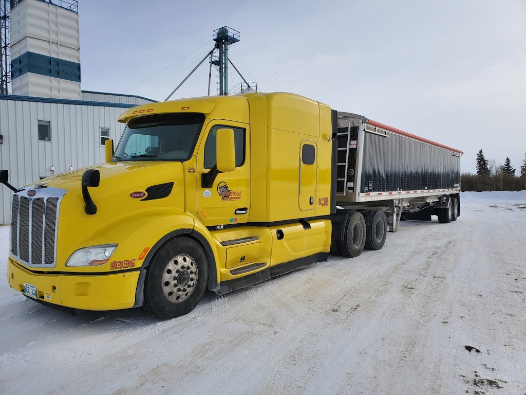 Cheval Transport Ltd | 235 Cochlan Dr, Morden, MB R6M 1G5, Canada | Phone: (204) 822-6798