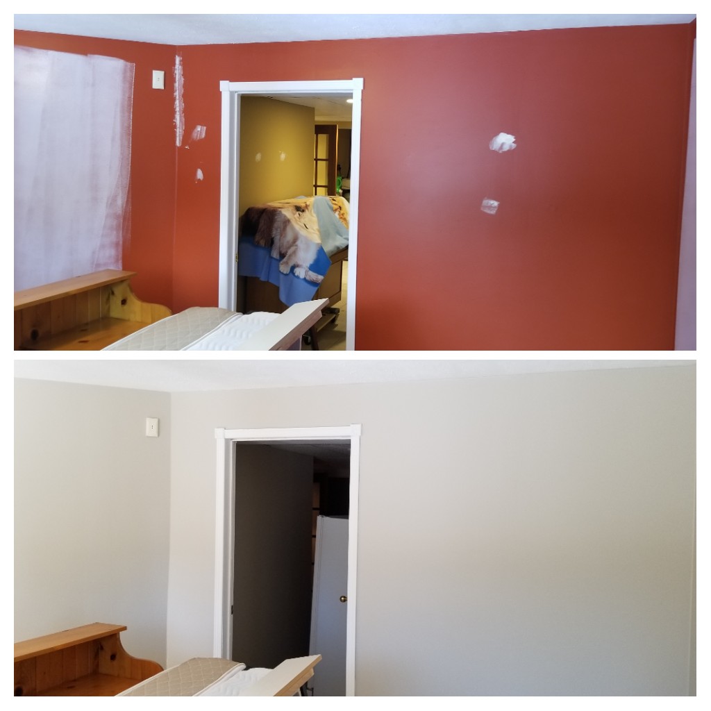 Colour Match Painting | 160 Wellington Rd 7, Elora, ON N0B 1S0, Canada | Phone: (519) 824-6378