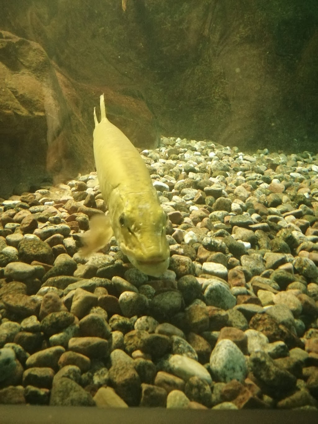 Stationnement secondaire de lAquarium du Québec | 1675 Av. des Hôtels, Québec, QC G1W 4S3, Canada | Phone: (418) 659-5264