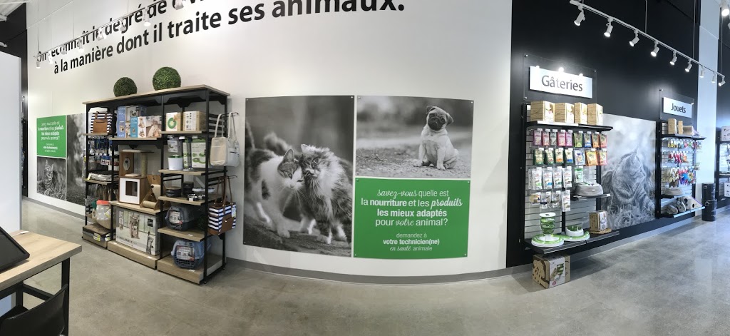 CLINIQUE VÉTÉRINAIRE QUARTIER ANIMAL DE LONGUEUIL | 4325 Chemin de Chambly, Saint-Hubert, QC J3Y 3M7, Canada | Phone: (450) 442-5191