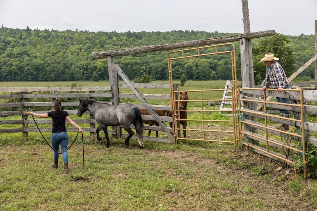 Ranch des sabots et des ailes | 800 Chem. de la Station, Saint-Boniface, QC G0X 2L0, Canada | Phone: (819) 698-9863