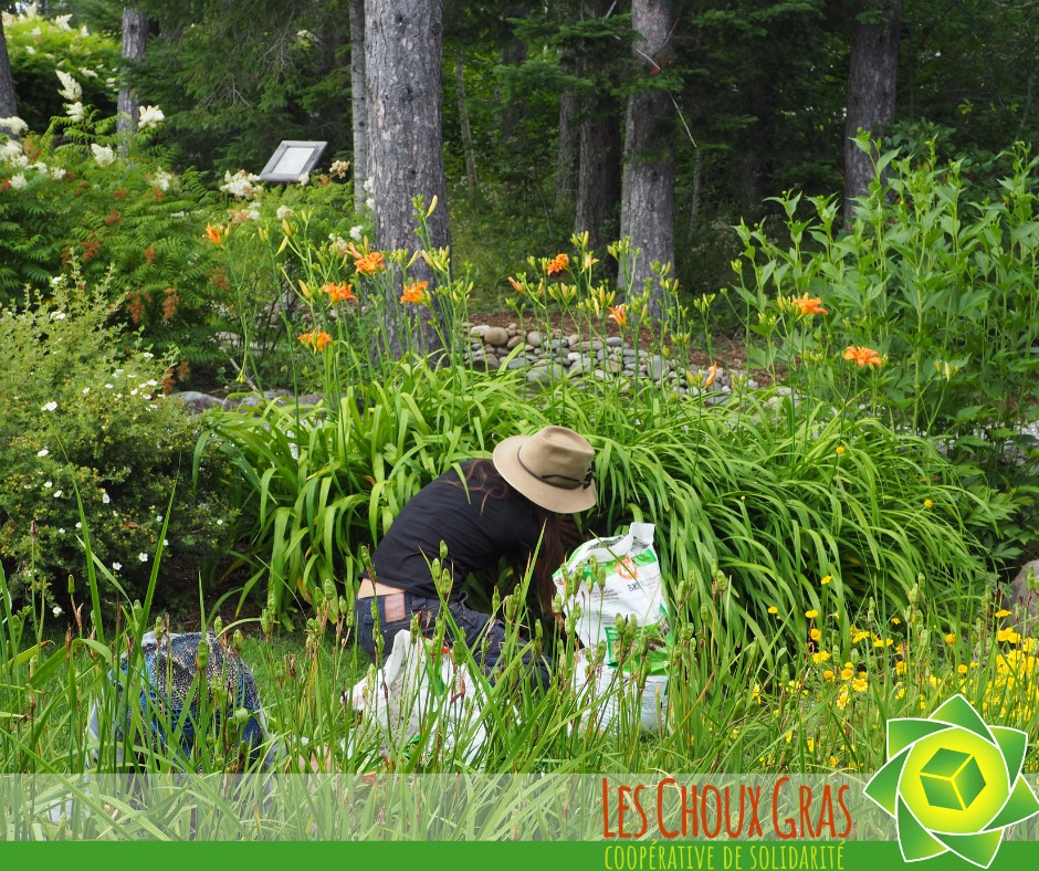 Les Choux Gras, Cooperative Solidarité | 53 Route Saint-Gérard, 155 Rue Commerciale, Saint-Damien-de-Buckland, QC G0R 2Y0, Canada | Phone: (581) 997-1824