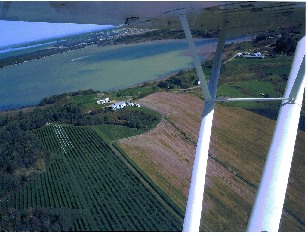 Vignoble Couchepagane | 1328 Rang Ste Anne, Métabetchouan-Lac-à-la-Croix, QC G8G 1N3, Canada | Phone: (418) 487-0178