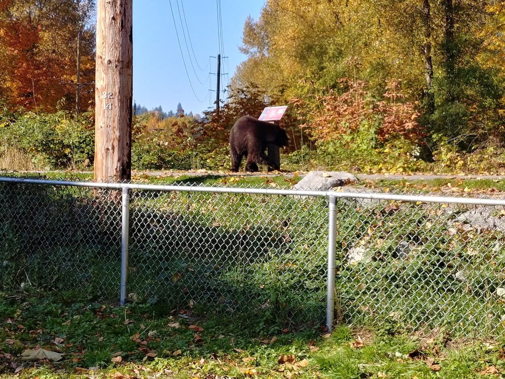 Maple St Off-Leash Park | 2501 Maple St, Port Coquitlam, BC V3C 0B4, Canada