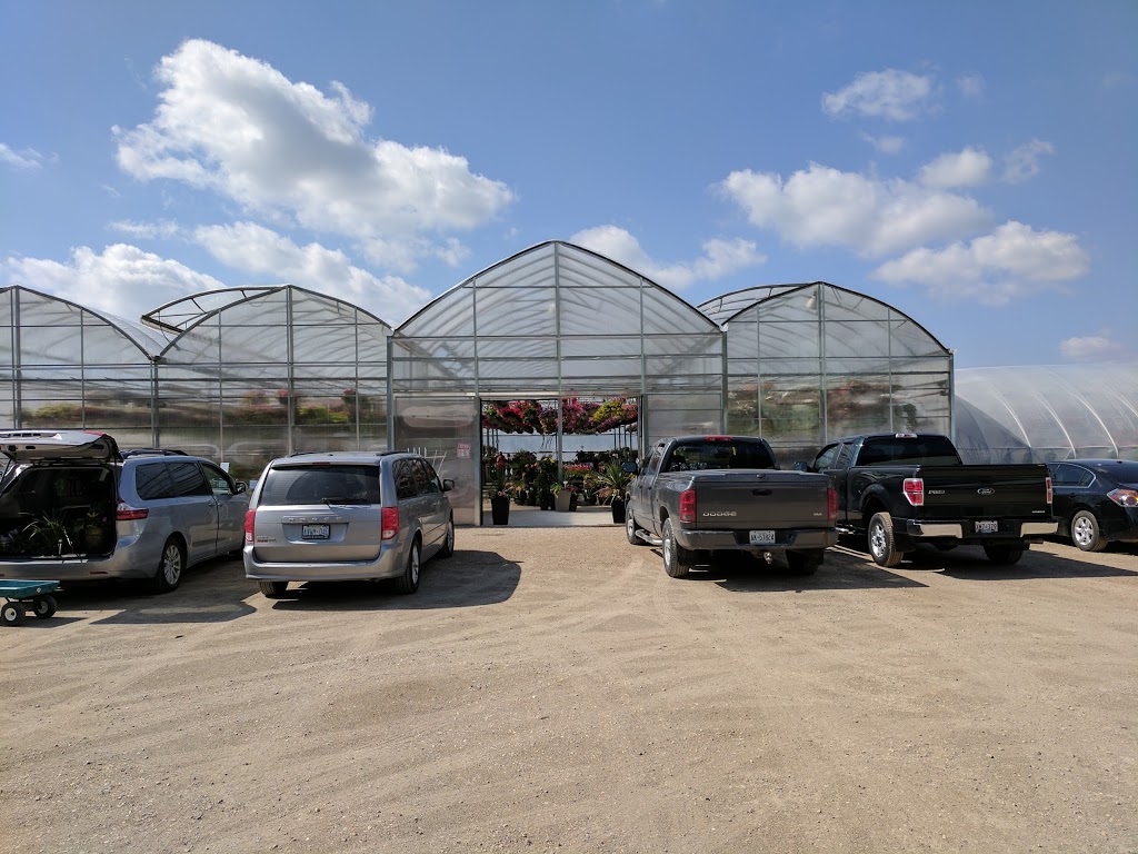 Shady Lanes Greenhouse & Perenials | 6158 Weisenberg Rd, West Montrose, ON N0B 2V0, Canada | Phone: (519) 846-2972