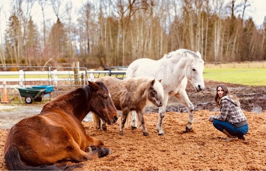 Freedom To Feel & Horse Guided Healing | 2708 210 St, Langley, BC V2Z 2A9, Canada | Phone: (778) 808-3982