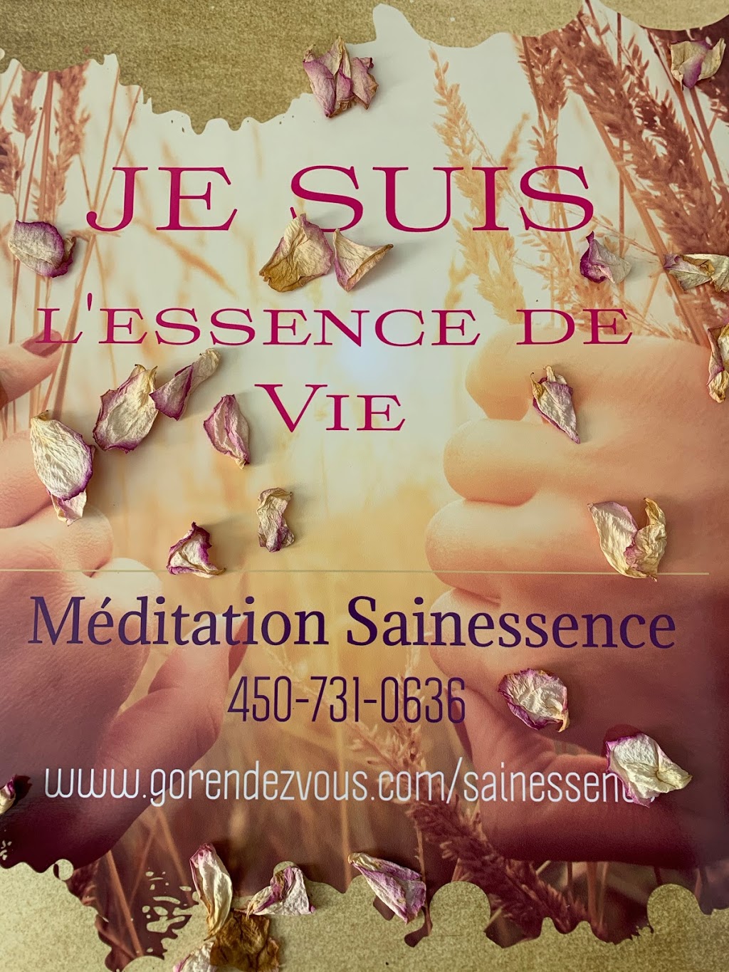 Sainessence Méditation | 100 Rue des Bordages, Varennes, QC J3X 2A7, Canada | Phone: (450) 731-0636