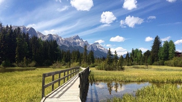 Tourism Canmore Kananaskis | 2801 Bow Valley Trail, Canmore, AB T1W 3A2, Canada | Phone: (403) 678-5277