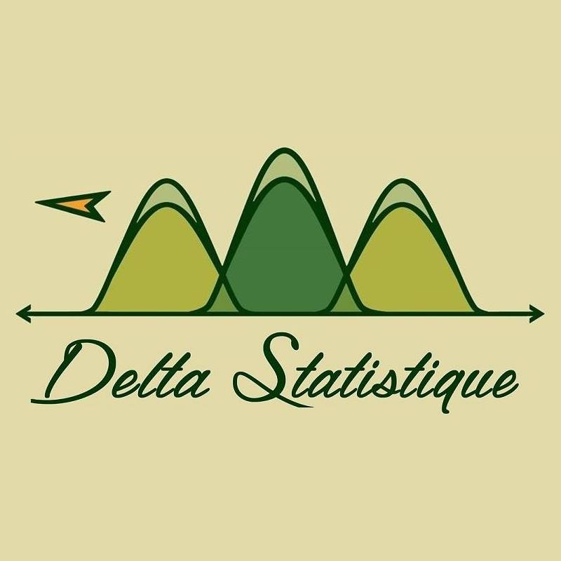 Delta Statistique | 3186 rue de la Trémie, Lévis, QC G6J 0N7, Canada | Phone: (581) 996-8962