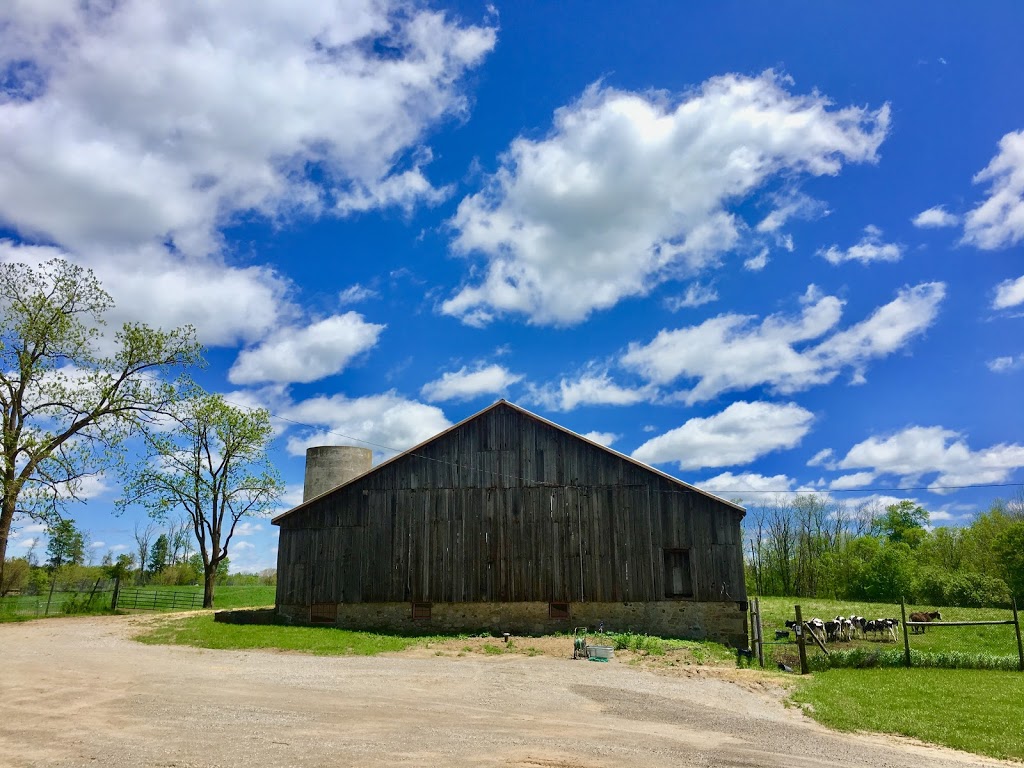 Cambridge Farm and Forest School | 3238 Old Beverly Rd, Cambridge, ON N1R 5S7, Canada | Phone: (226) 533-9591