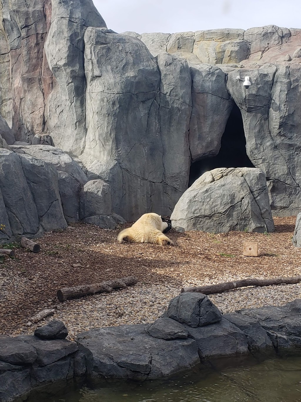 Journey to Churchill | Assiniboine Park, Winnipeg, MB R3P 2N7, Canada | Phone: (204) 927-6000