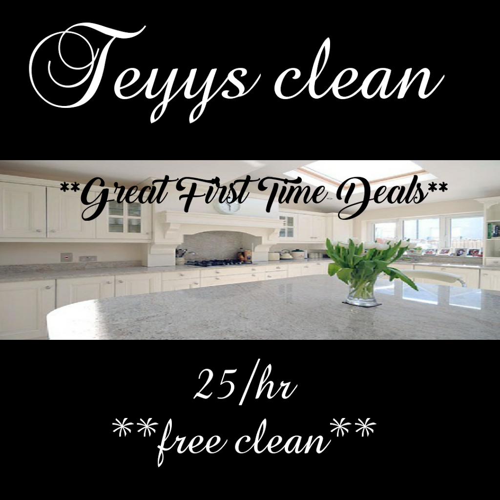 Teyys Clean | 12608 113b Ave, Surrey, BC V3V 3M9, Canada | Phone: (778) 875-8106