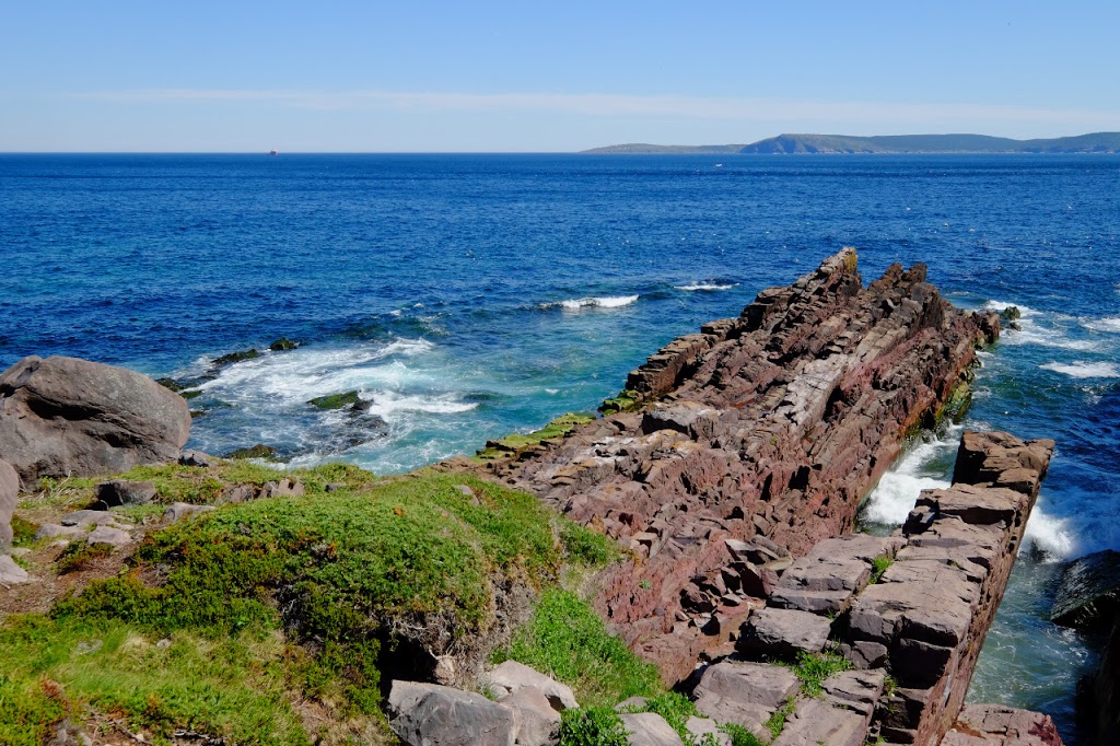 East Coast Trail | Logy Bay-Middle Cove-Outer Cove, NL A1A 5V5, Canada