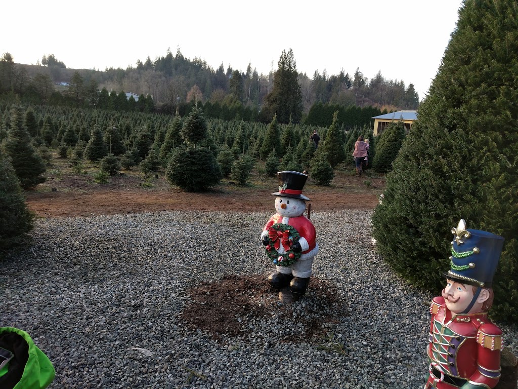 Dogwood Christmas Tree Farm | 8589 252 St, Langley City, BC V1M 3P1, Canada | Phone: (604) 888-9161