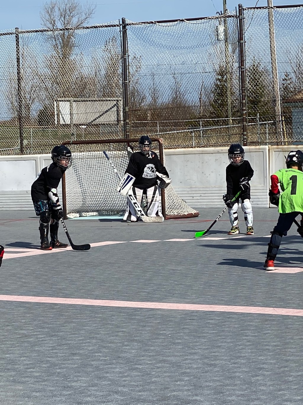 Ballhockey Mike McGowan Memorial Rink | St. Catharines, ON L2R 7K6, Canada | Phone: (905) 646-0480