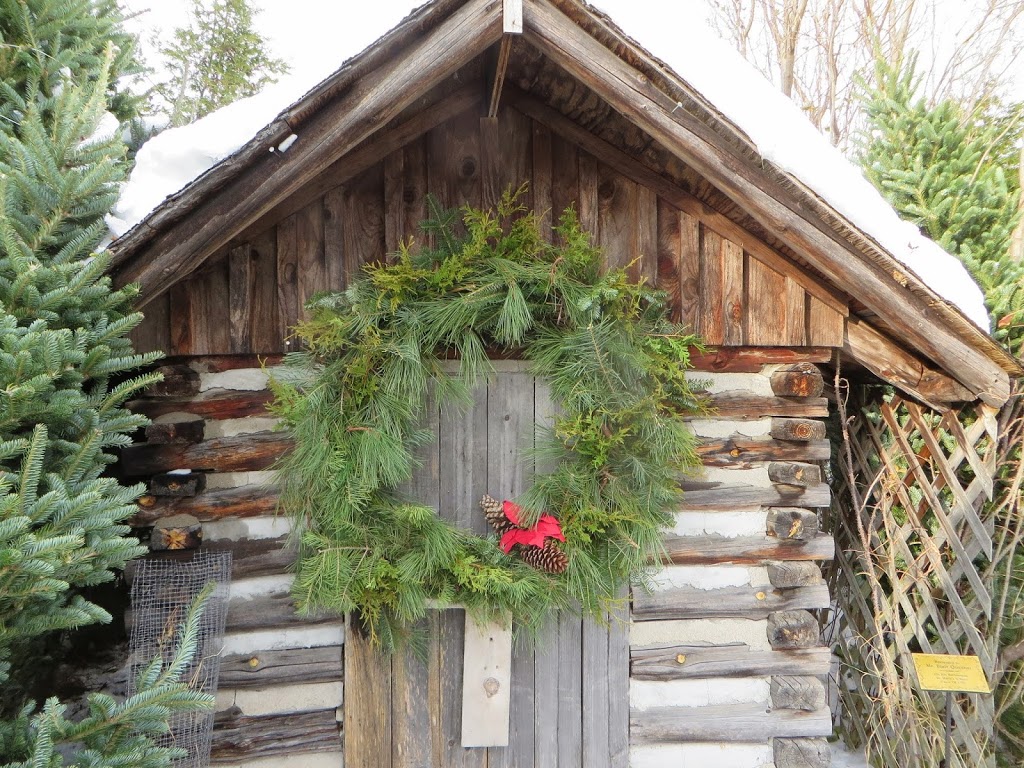 Quesnel Christmas Trees | Collingwood, ON L9Y 3Z1, Canada | Phone: (705) 445-2375