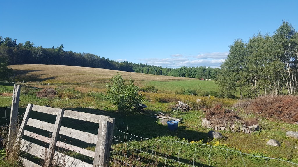 Sweetwood Farm | 637 Hirtle Rd, Blockhouse, NS B0J 1E0, Canada | Phone: (902) 298-9697