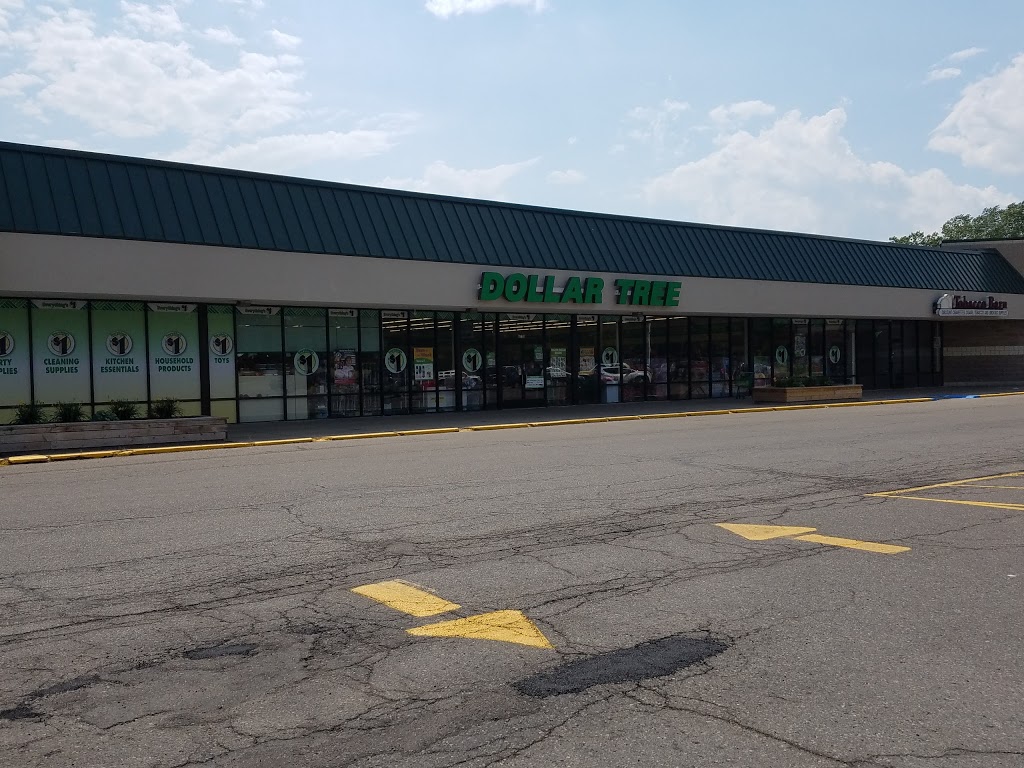 Dollar Tree | 6750 River Rd, Marine City, MI 48039, USA | Phone: (810) 765-4304