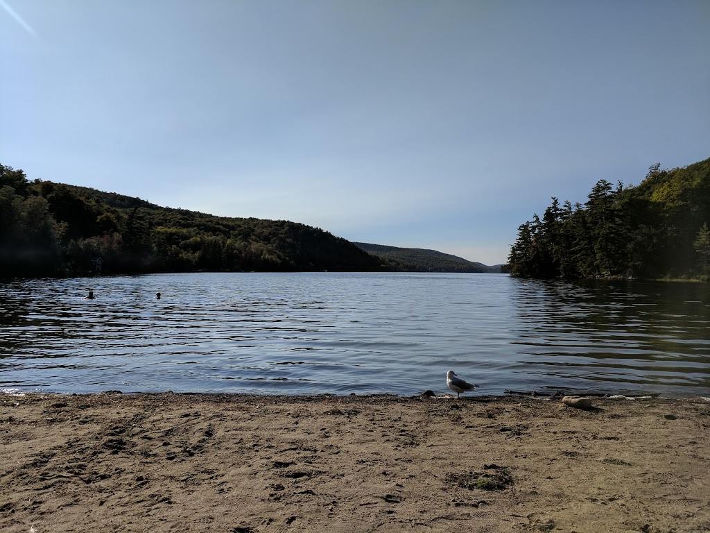 O’Brien Beach | Chemin du Lac Meech, Chelsea, QC J9B 1H9, Canada