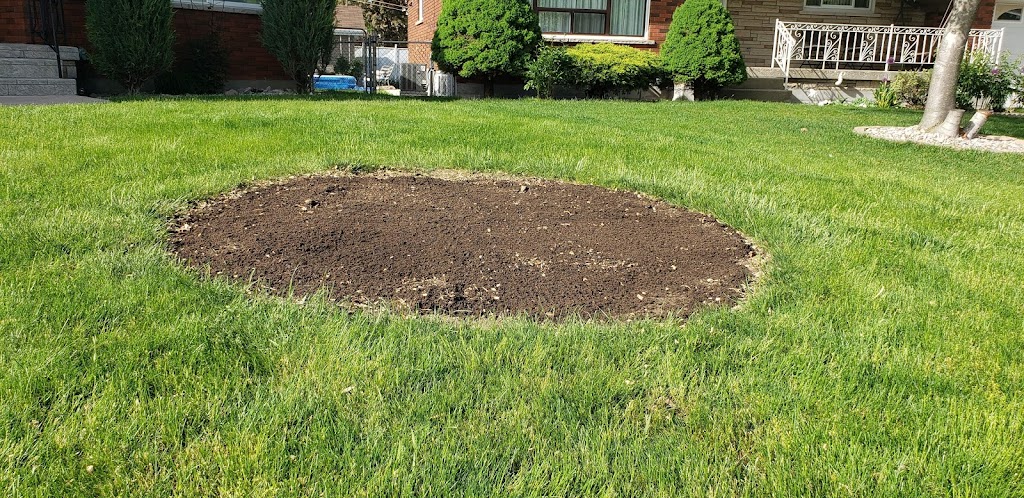 Woodchuck Stump Grinding | 111 King St E, Hagersville, ON N0A 1H0, Canada | Phone: (905) 531-0586