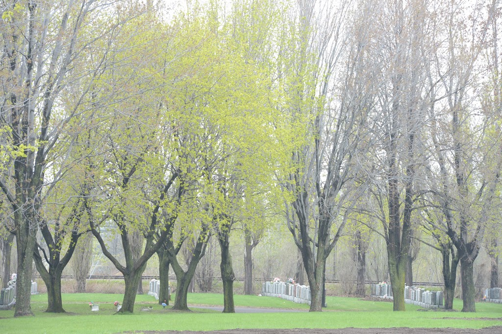 Cimetière Saint-Charles | 1460 Boulevard Wilfrid-Hamel, Québec, QC G1N 3Y6, Canada | Phone: (418) 688-0566