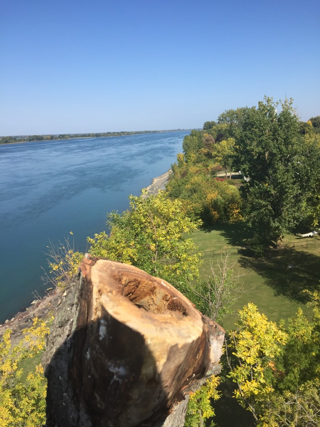 Acer Foresterie Urbaine | 1402 Chemin de la Rivière Aux Pins, Varennes, QC J3X 1P7, Canada | Phone: (514) 756-0600