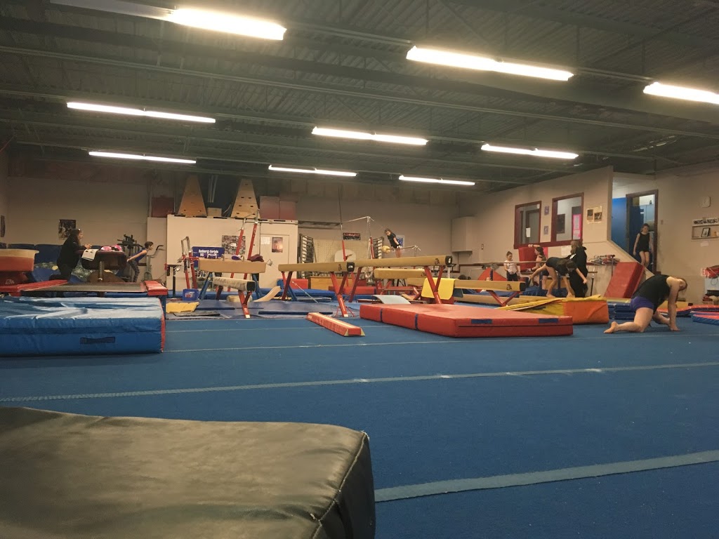 Amherst Aerials Gymnastics Club | 10 Lawrence St, Amherst, NS B4H 3G5, Canada | Phone: (902) 669-0375