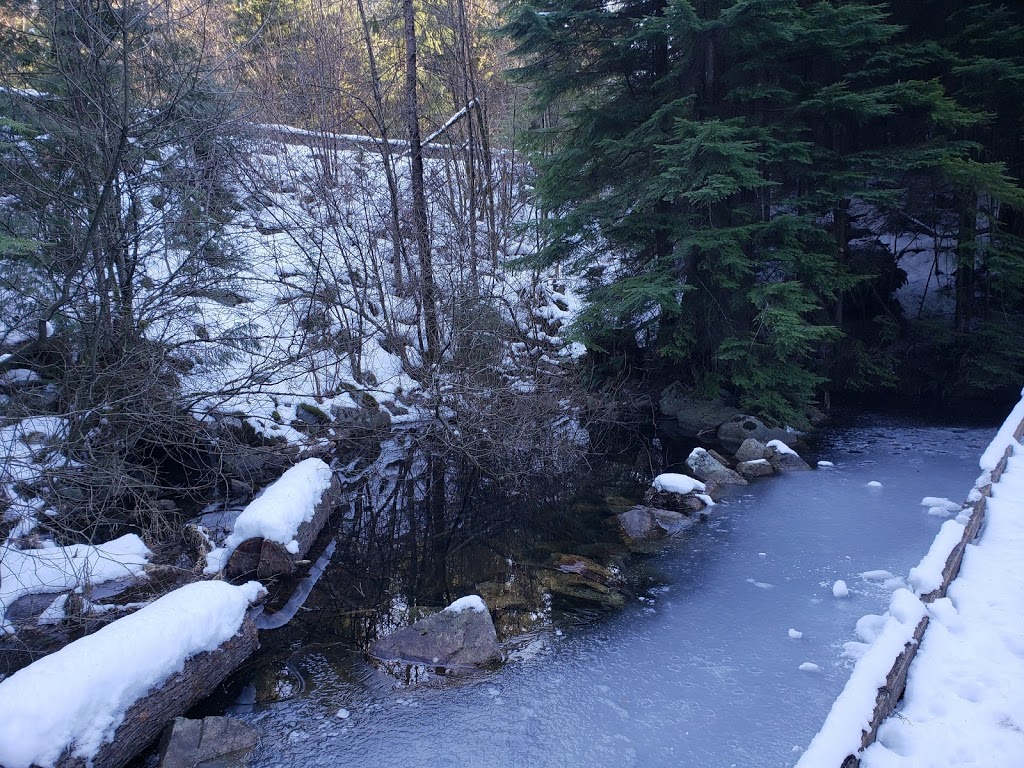 Woodhaven Swamp | Woodhaven, Belcarra, BC V3H 4R6, Canada