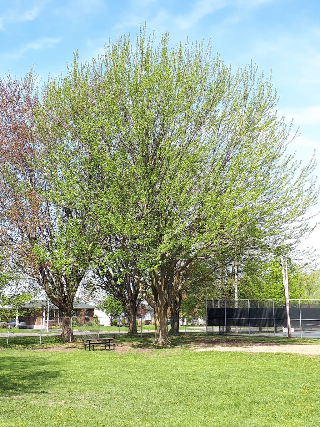 Parc Milette | Drummondville, QC J2B 7W1, Canada